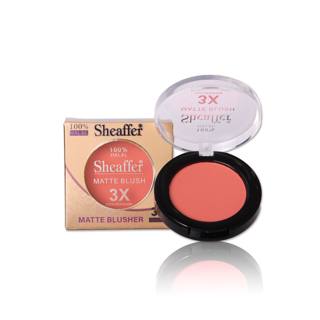 Sheaffer Blush Brush FG07B main image 1
